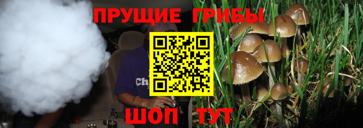 Псилоцибиновые грибы прущие грибы  Вход с VPN  Бугуруслан 